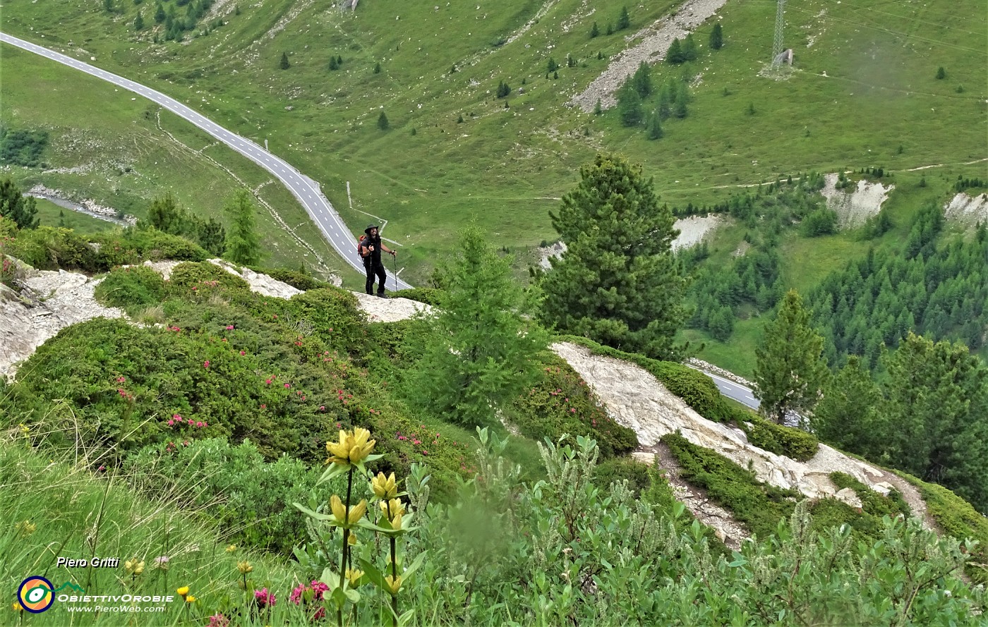 66 Vediamo bene la strada del Julierpass.JPG